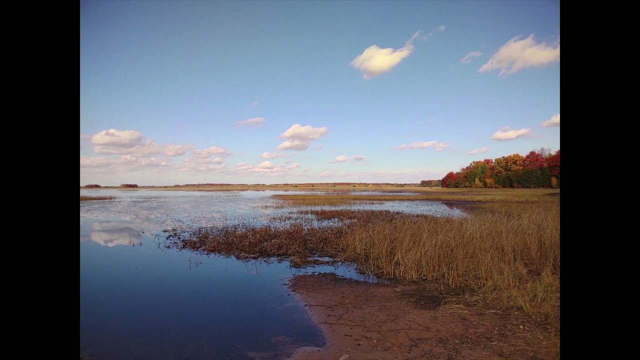 "Steamroller" - Rob Weum