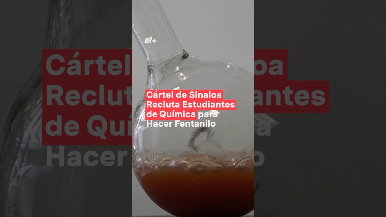 Cárteles de México reclutan a estudiantes de química para hacer fentanilo: The New York Times - N+