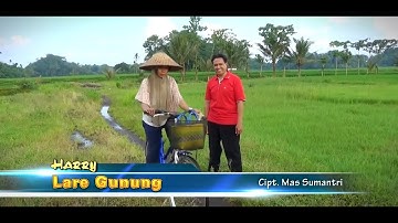 LARE GUNUNG - HARRY (Official Music Video)