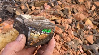Prospecting for Boulder Opal 2019 Part 2
