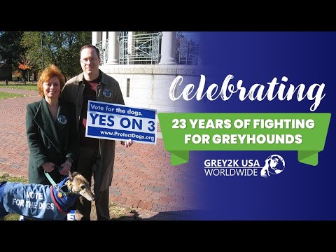 Celebrate 23 years of helping greyhounds