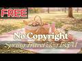 FREE No Copyright Music 🌸 | Spring Travel BGM | Blooming Road Trip (Free Download) | For Beginners