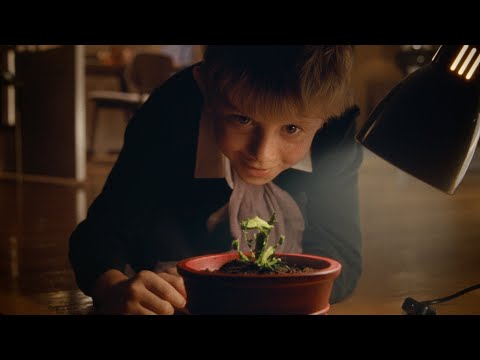 Snapper: The Perfect Tree | John Lewis & Partners | Christmas Ad 2023