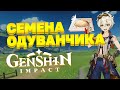 Где найти семена одуванчика в Genshin Impact
