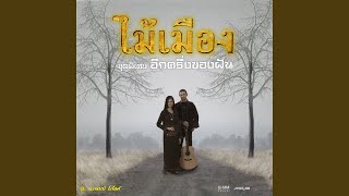 Video thumbnail of "Mai Muang - อีกครึ่งของฝัน"