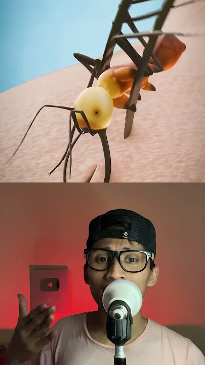 Menjahit kulit dengat semut #animation #science #spider #insects #animasi #hewanbesar #memes