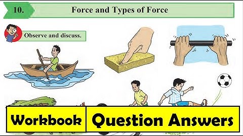 Force and Types of Force | Question Answers | Class 6 | Science | Chapter 10 | Workbook Answers