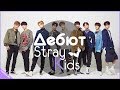 KPOP| ДЕБЮТ STRAY KIDS | ЗНАКОМСТВО С ГРУППОЙ часть2