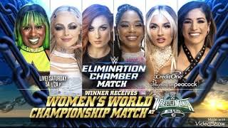 WWE Elimination Chamber Perth Review