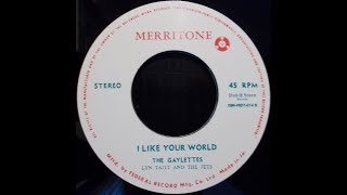 Video thumbnail of "The Gaylettes - I Like Your World"