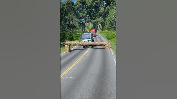 Dumper trucks vs log trap part2089 #automobile #beamngdrive #shortvideo #shorts #truck #india