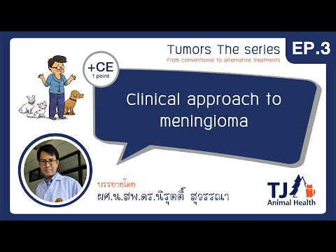 EP.3 Clinical approach to meningioma - WEBINAR Tumors The Series
