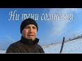 Охота на зайцев - Ни тени сомнения