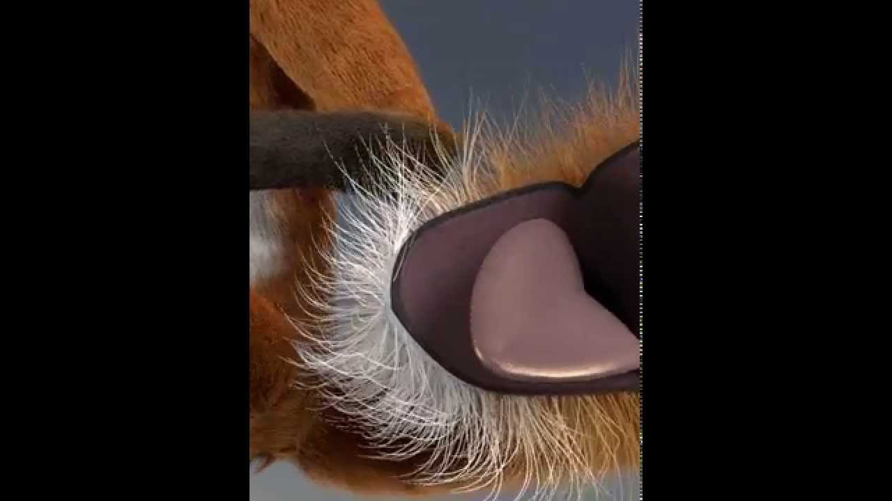 Tail vore animation - Tail vore animation