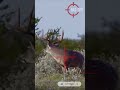 270 bullet train powerhit scopecam deerhunting shorts gunops viral bigbuck caceria deer