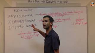 Medeni Hukuk Başlangıç Hükümleri 6