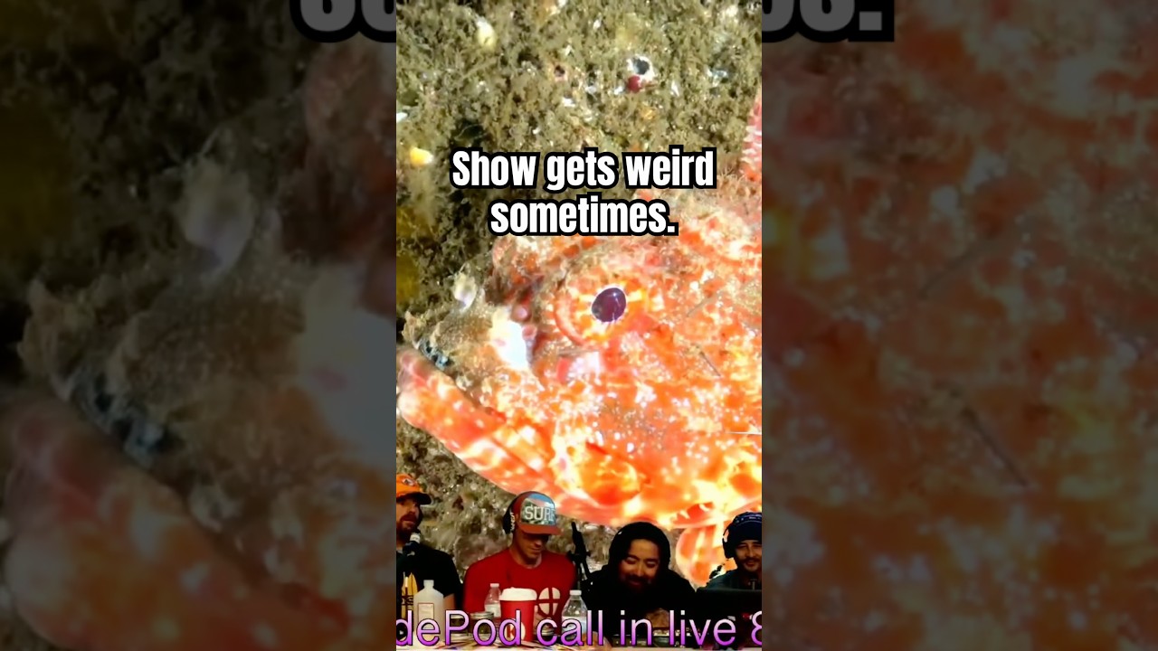 I did a dab. #podcast