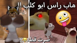 لعبت ماب راس ابو كلب !! (جلدني) ||Roblox