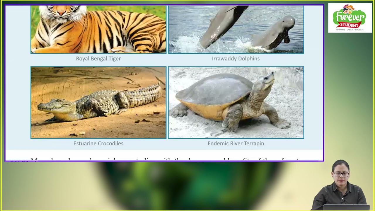 Ch 8 | Forever Student | EVS | Class 5 | Some Unique Places  | For children