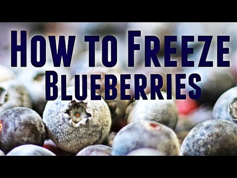 Video: Cara Menyimpan Blueberry Untuk Musim Dingin