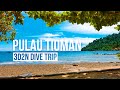 PULAU TIOMAN DIVE TRIP | 3 Days 2 Nights Travel Vlog | Travel Malaysia