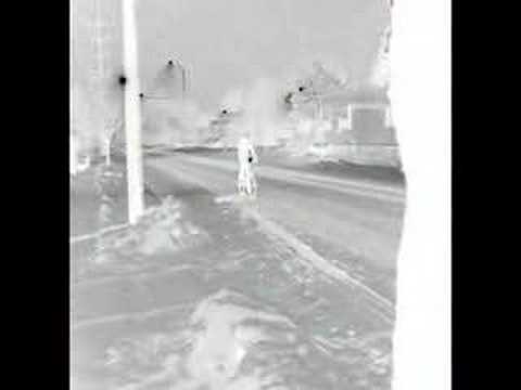 Sony Vegas 7 Borders And NET Framework