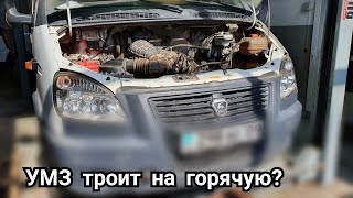 УМЗ-4216 троит на горячую, в чем причина? 43179км.