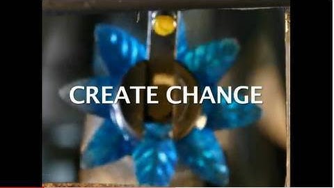 Artists Support WITNESS