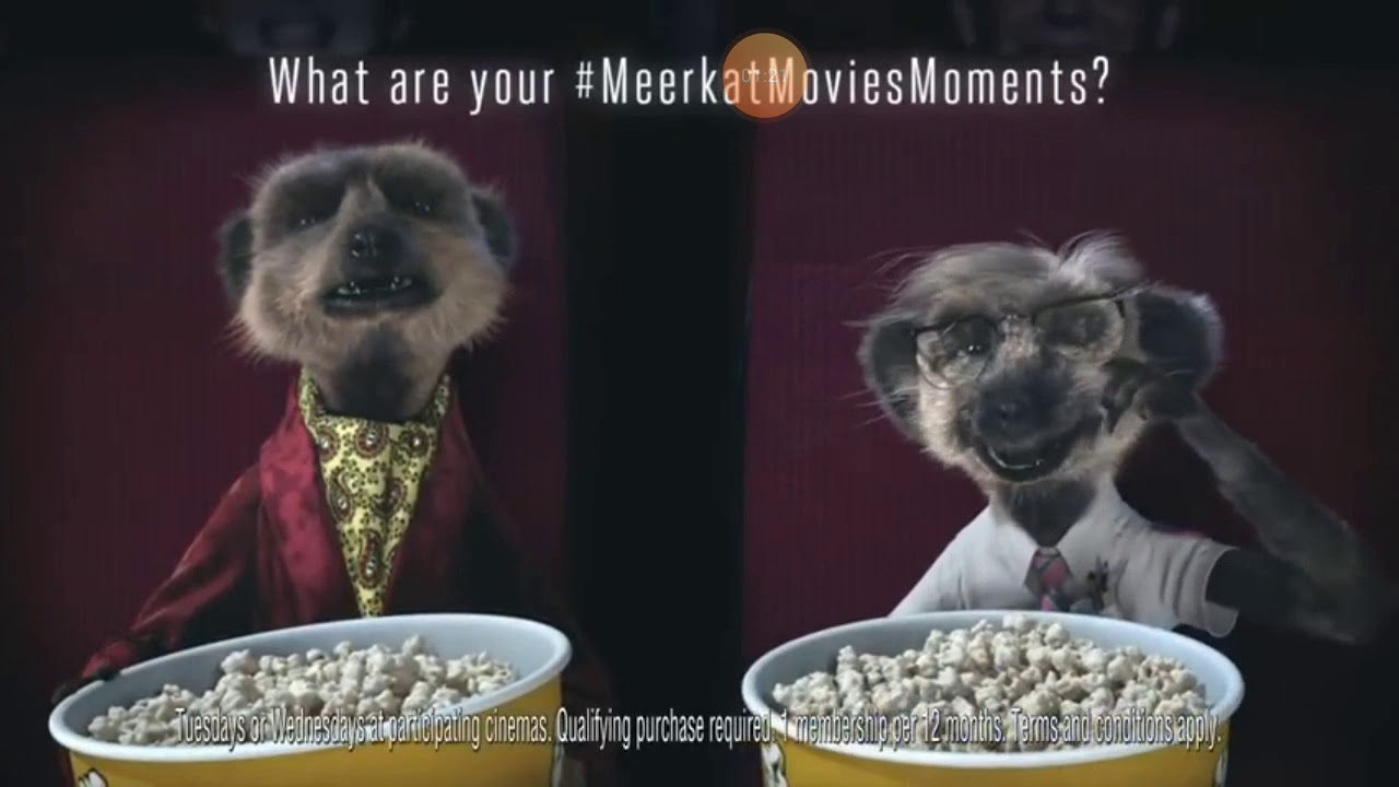 Meerkat movies part 1 YouTube