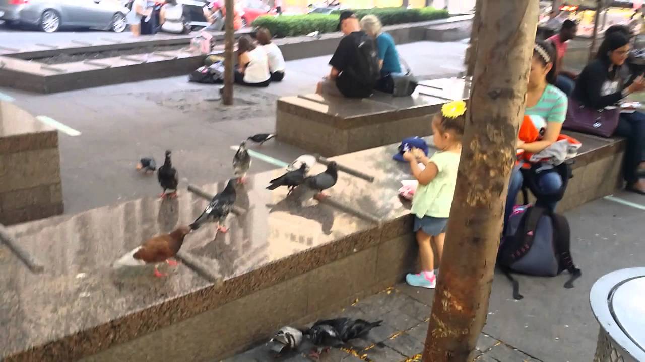 Eating lunch downtown NYC - YouTube