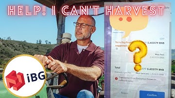 IBG Finance Token Why Can