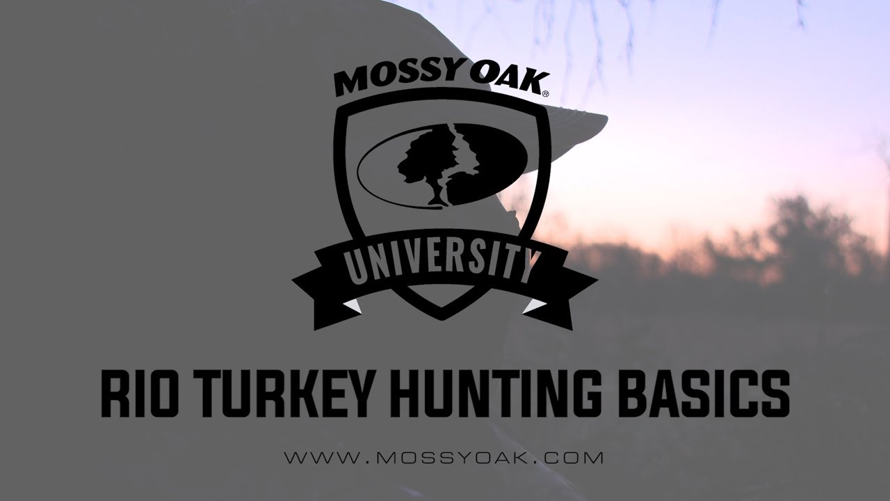 Rio Grande Turkey Hunting Basics 