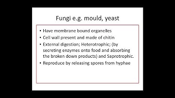 4.2.2. Classification and Evolution c) PART 1 Observable features in the 5 kingdoms