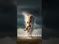 Save the dog! #shorts #dog #tornado #subscribers #likes #comments