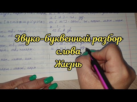 Звуко-буквенный разбор слова Жизнь