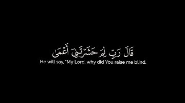 كروما شاشه سوداء قرآن كريم 🌿تلاوة من سورة طه 🌿القارئ طارق محمد 🌿