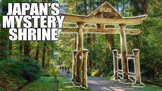 Exploring Japan's MYSTICAL MOSS Shrine