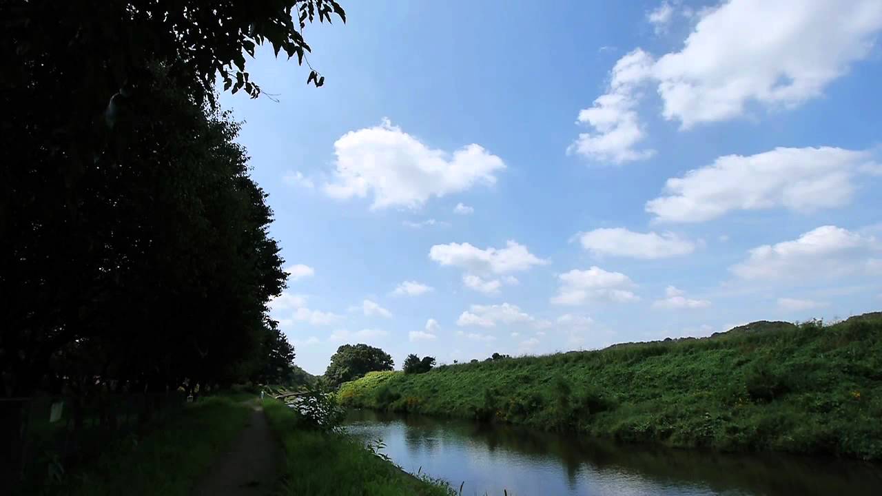 商用利用可能 癒しの動画 No003 自然風景素材 青空 河原 コサギ Youtube