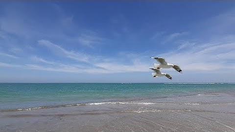 His first flight,  Liam O