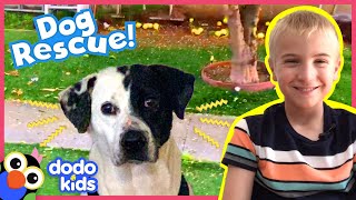 Mark The Dog Is Afraid Of Everything Except Hamburgers | Animal Videos For Kids | Dodo Kids