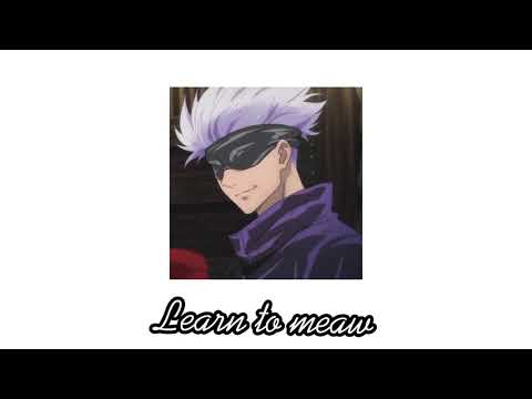 [ xiao pan pan \u0026 xiao feng feng ] - learn to meow