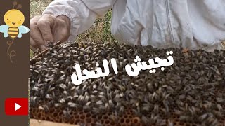طريقة صنع محلول تغذية النحل للتجيش وتقوية الخلية   / النحل والعسل @