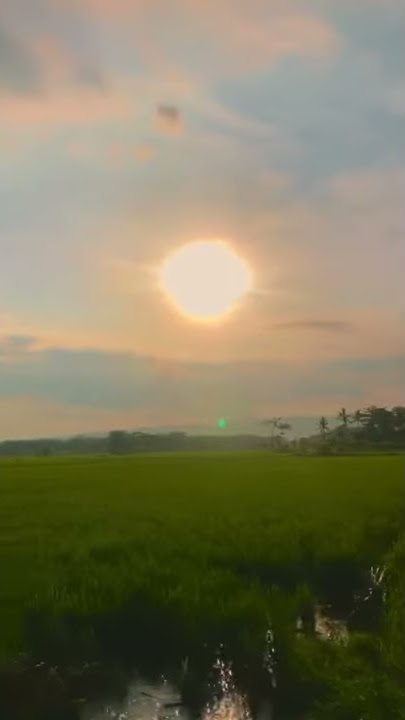 story wa 30 detik || pemandangan senja