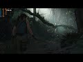 Shadow of the Tomb Raider Benchmark 1080ti with 399.24 drivers 1440p