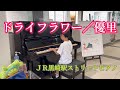 ドライフラワー/優里/9歳/ストリートピアノ/黒崎駅