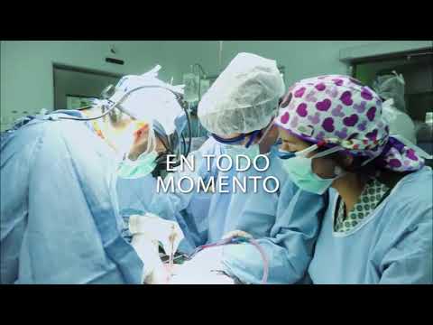 Vídeo: Quina data és el Dia Internacional del Doctor del 2019?