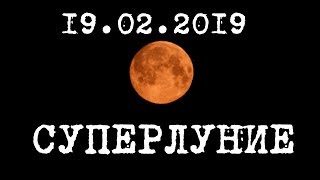 : ? 19.02.2019 ./SUPER MOON