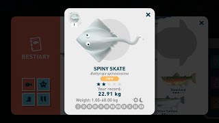 Creatures of the Deep - Spiny Skate