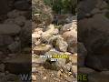 The Unique World of Water Feature Art #watergarden #pondlesswaterfall #aquascape #waterfeature