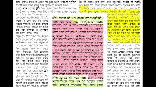 דף יומי מסכת תענית דף יח Daf yomi Taanit daf 18 יום הולדת שמח ל אליהוא נבון